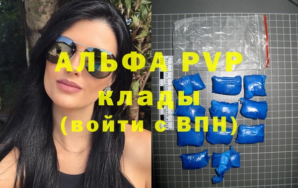 PSILOCYBIN Аркадак