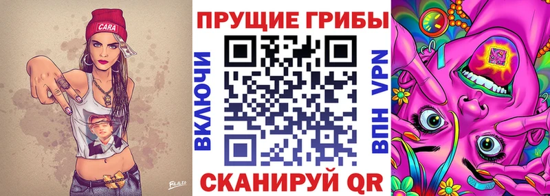 Галлюциногенные грибы мухоморы  купить закладку  Балей 